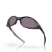 Solglasögon Eyejacket Redux Matte Black Prizm grey