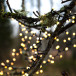 Ljusslinga Berry Mini 700 LED