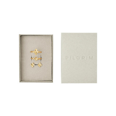 Gåvoset Sanine, ringar & örhänge guld